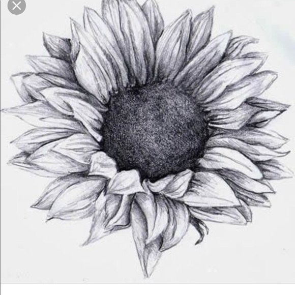 Meet your Posher, Amber - Picture 1 of 1